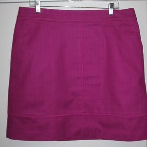 Woman's Ann Taylor Skirt